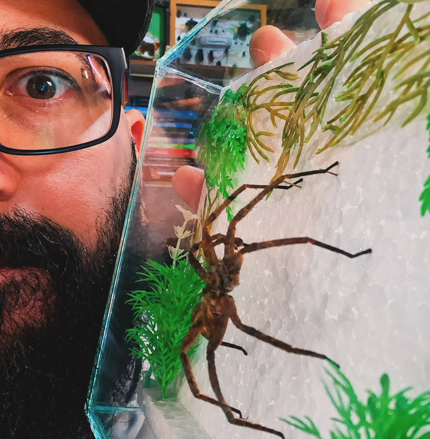 Surprised man with glasses holding a clear container featuring a large brown spider.